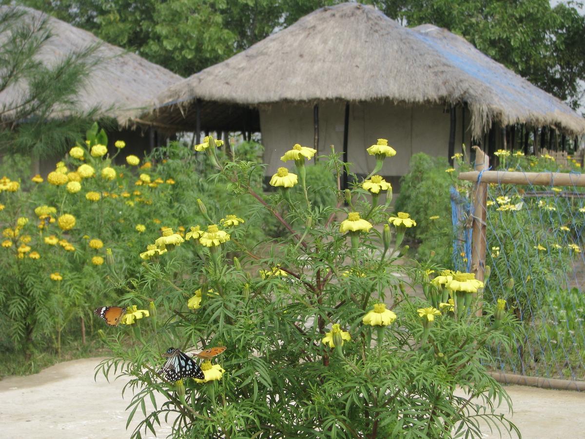 Estuarine Village Resort Sātabhāya 外观 照片